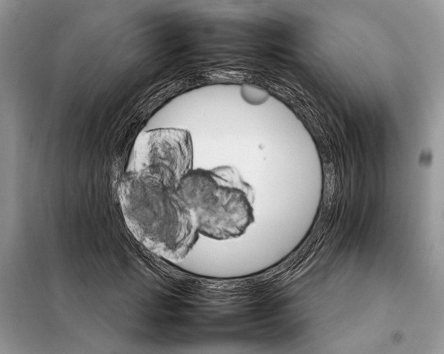 X0000098040749200804181256