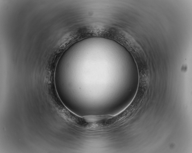 X0000098040750200804181256