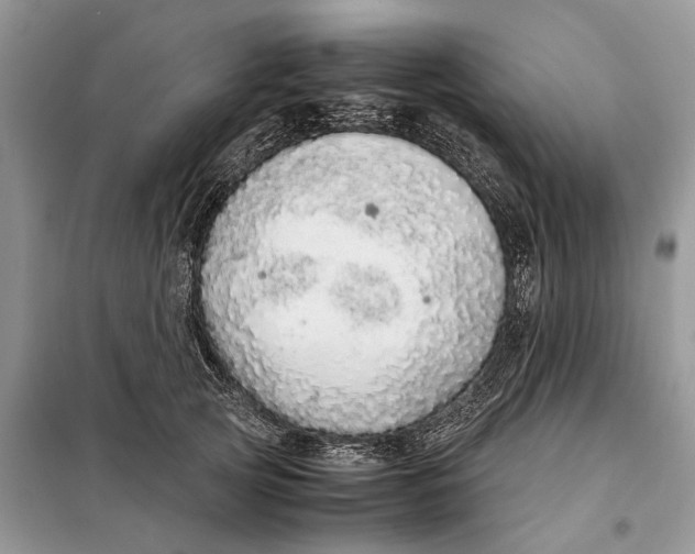 X0000098040753200804181256