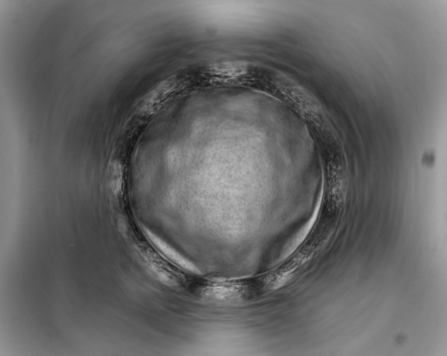 X0000098040758200804181256