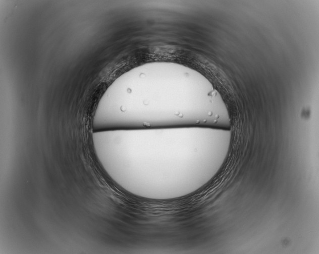 X0000098040759200804181256