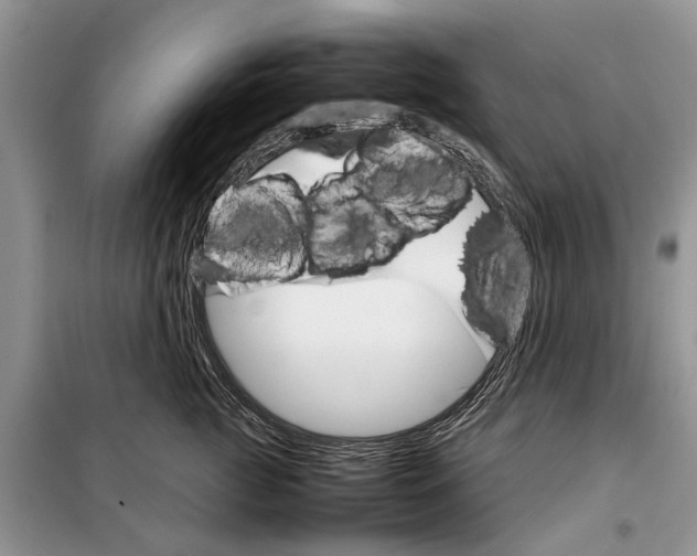 X0000098040761200804181256