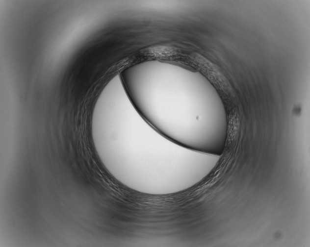 X0000098040762200804181256