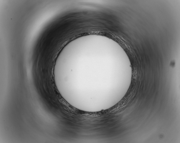 X0000098040763200804181256