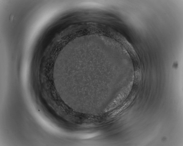 X0000098040765200804181256