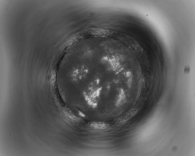 X0000098040767200804181256