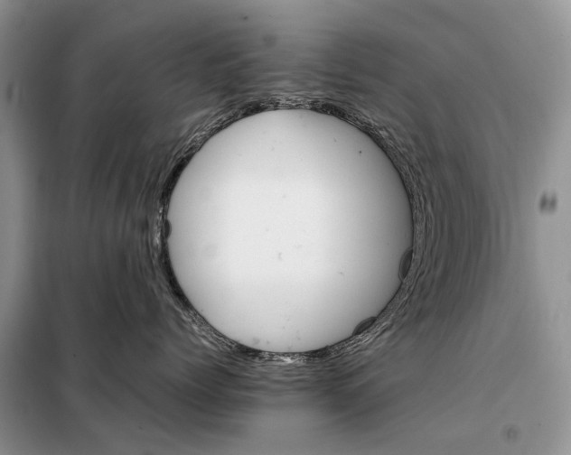 X0000098040768200804181256