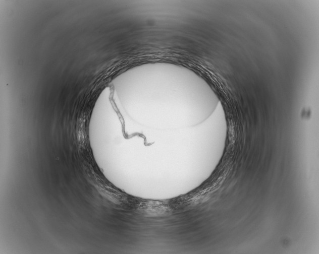 X0000098040770200804181255