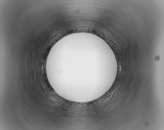 X0000098040771200804181255