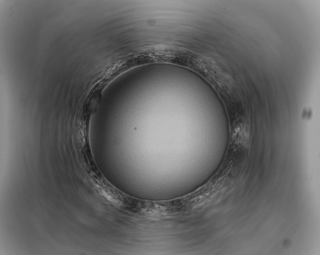 X0000098040772200804181255