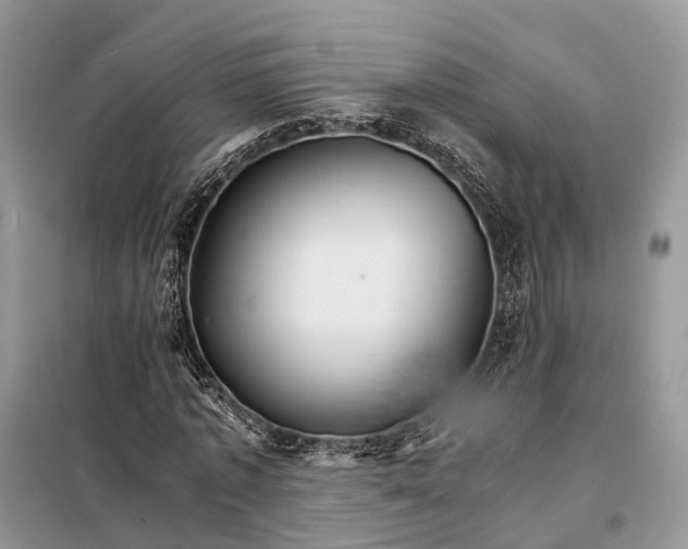 X0000098040773200804181255