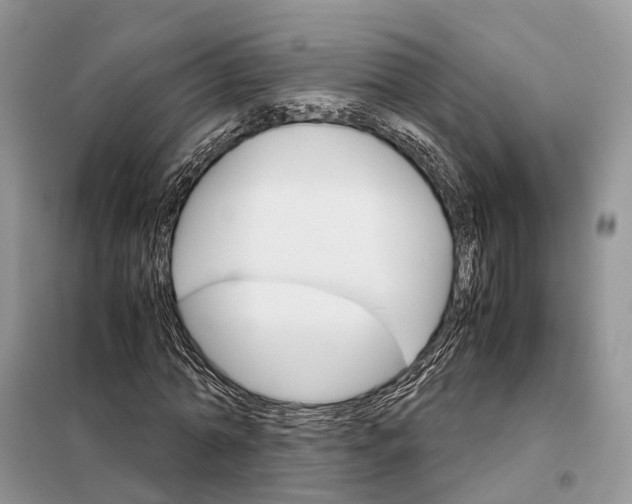 X0000098040774200804181255