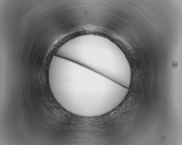 X0000098040776200804181255