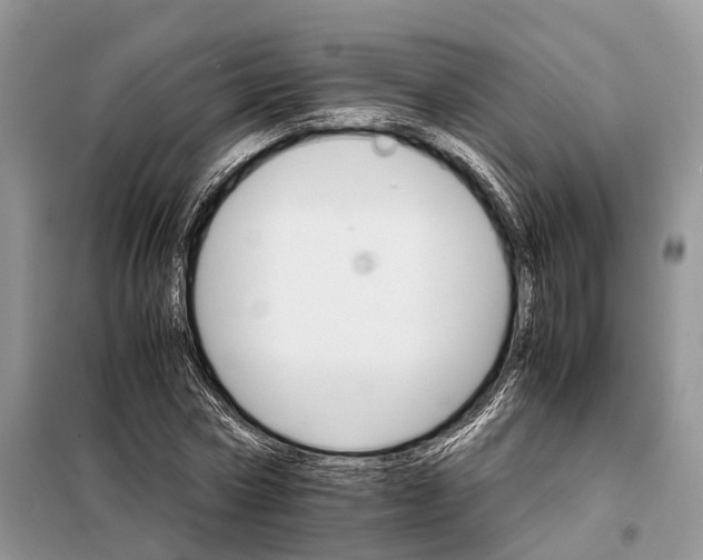 X0000098040778200804181255