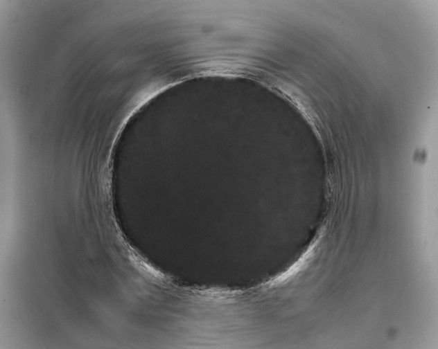 X0000098040779200804181255