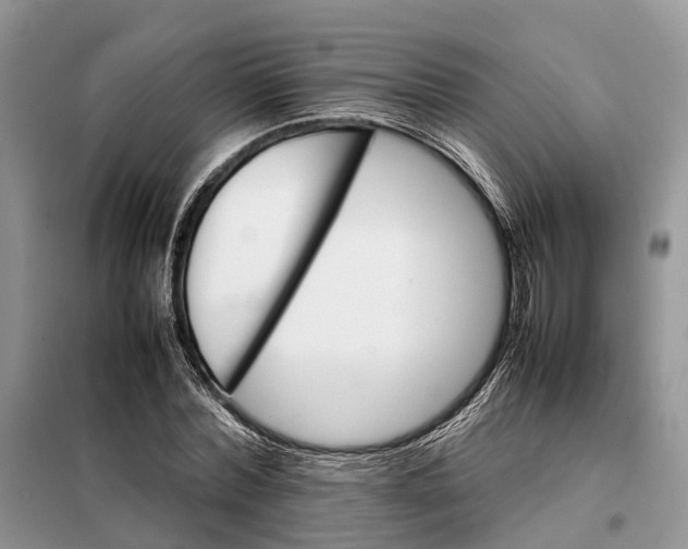 X0000098040780200804181255