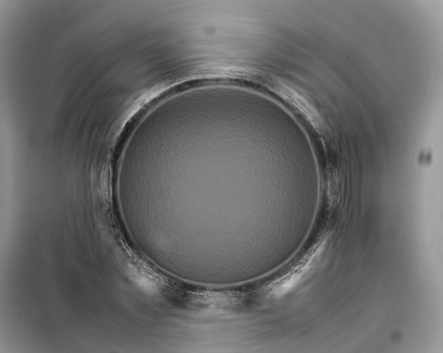 X0000098040781200804181255