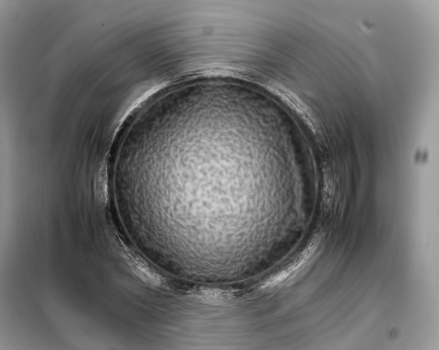 X0000098040782200804181255