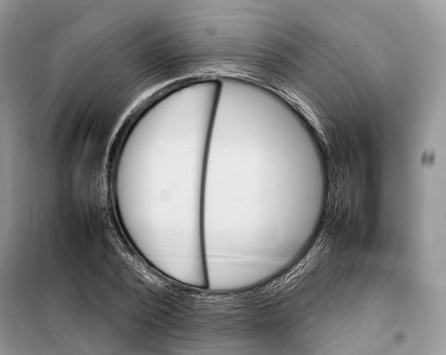 X0000098040784200804181255