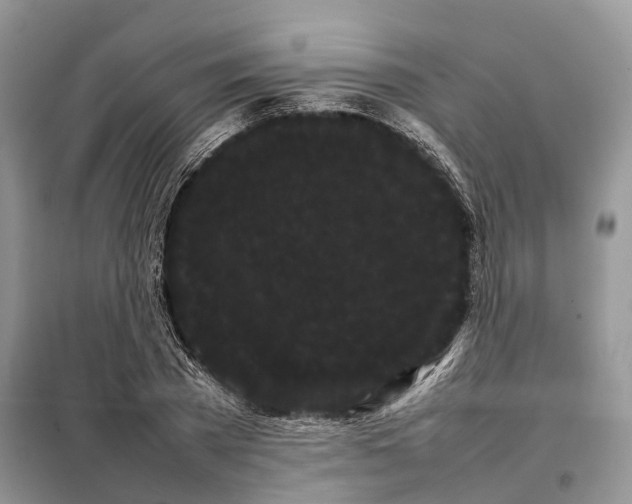 X0000098040785200804181255