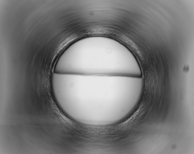 X0000098040786200804181255