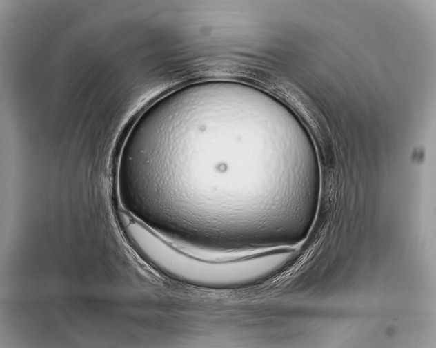 X0000098040787200804181255