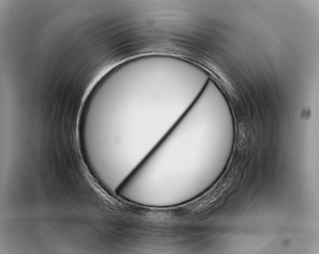 X0000098040788200804181255