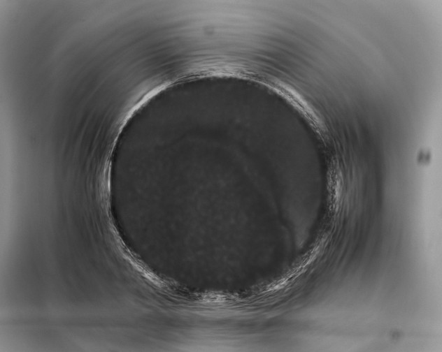 X0000098040790200804181255