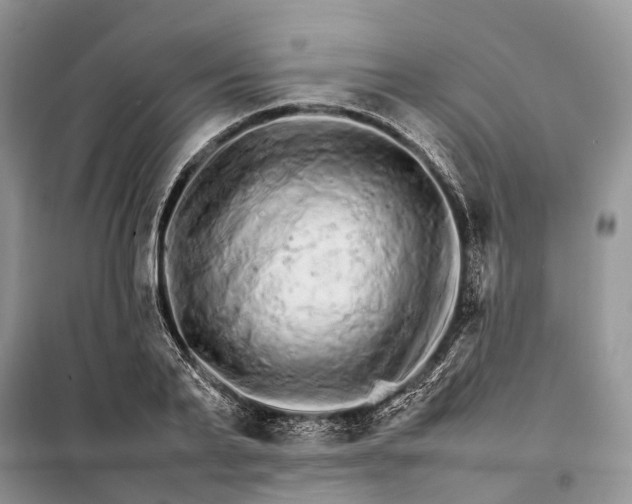 X0000098040791200804181255