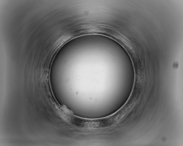 X0000098040793200804181255