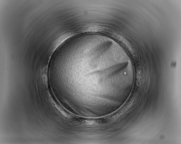 X0000098040794200804181255