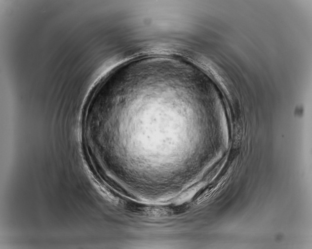 X0000098040795200804181255