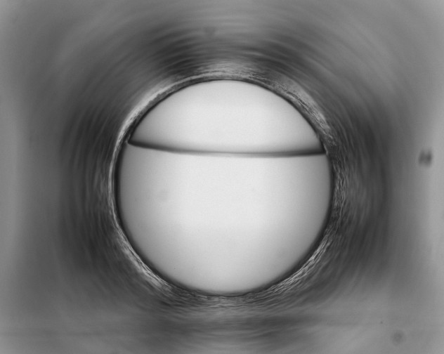 X0000098040796200804181255