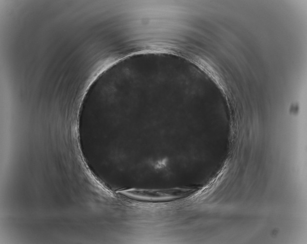 X0000098040797200804181255