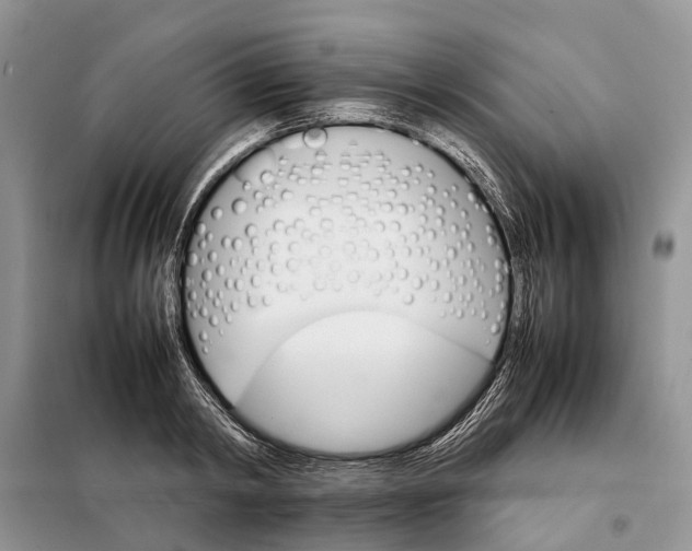 X0000098040798200804181255