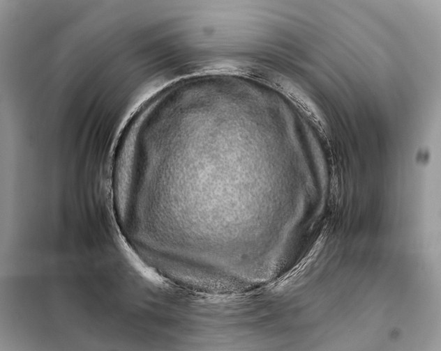 X0000098040800200804181255