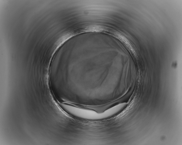 X0000098040802200804181255