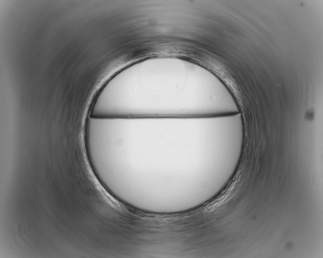 X0000098040803200804181255