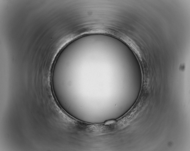 X0000098040805200804181255