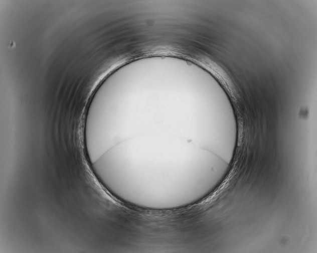 X0000098040806200804181255