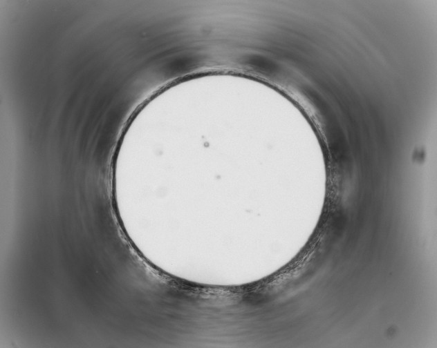 X0000098040807200804181255