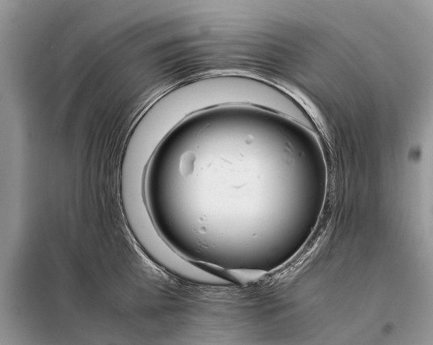 X0000098040809200804181255