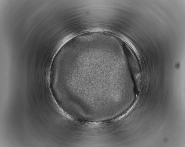 X0000098040810200804181255