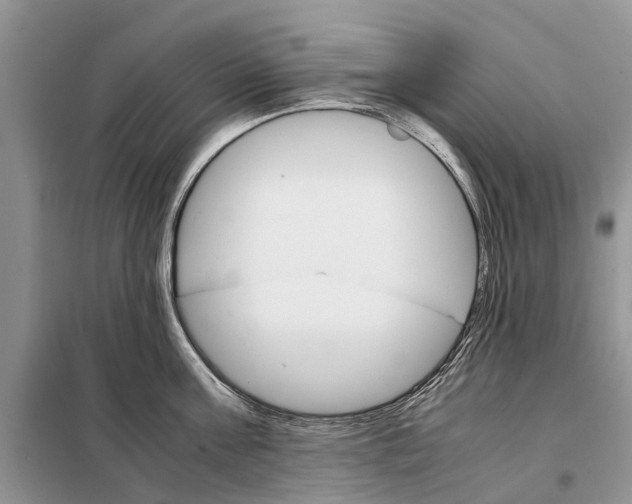 X0000098040811200804181255