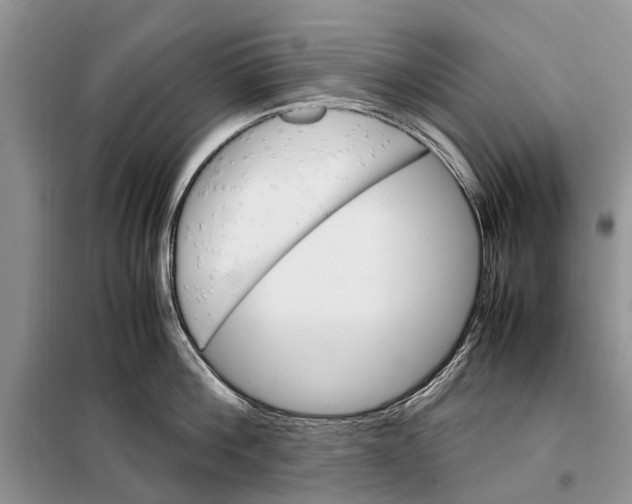 X0000098040812200804181255