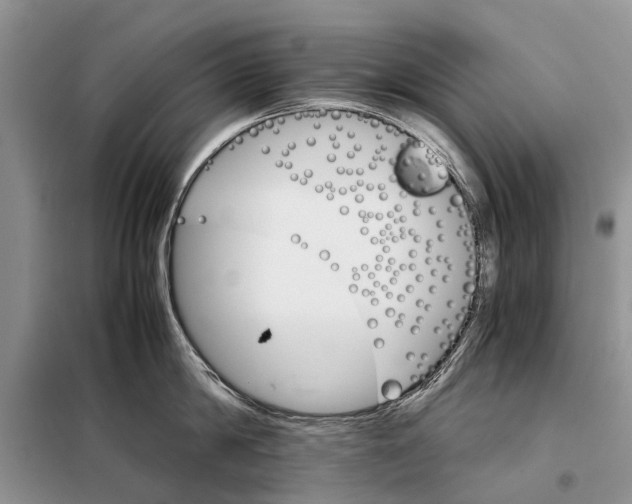 X0000098040814200804181255