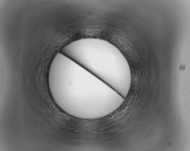 X0000098040817200804181253