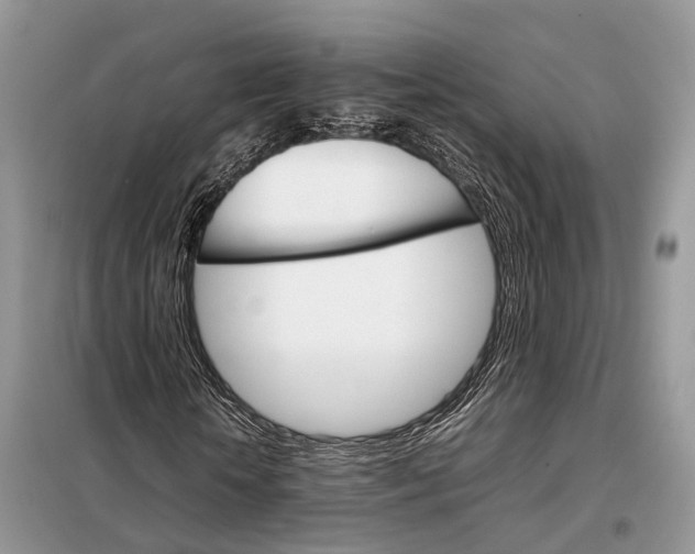 X0000098040818200804181253