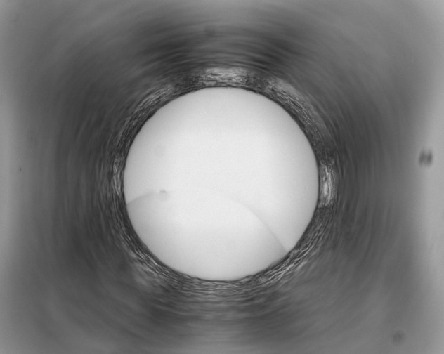 X0000098040819200804181253