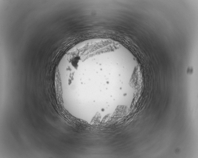 X0000098040820200804181254